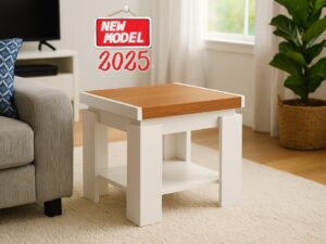 https://megacentar.ba/wp-content/uploads/2025/08/KLUB-STOL-NOVI-MODEL-DOSTUPAN-U-VISE-BOJA-AKCIJA-DO-30.08.2025.-5990-KM-300x225.jpg