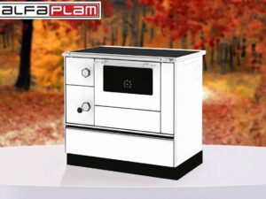 https://megacentar.ba/wp-content/uploads/2026/09/SPORET-ALFA-NA-CVRSTO-GORIVO-AKCIJA-DO-26.09.2026.-1.39900-300x225.jpeg