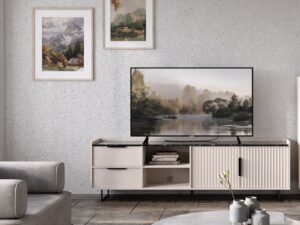 https://megacentar.ba/wp-content/uploads/2026/09/TV-KOMODA-29900-RASPRODAJA-DO-ISTEKA-ZALIHA-300x225.jpeg
